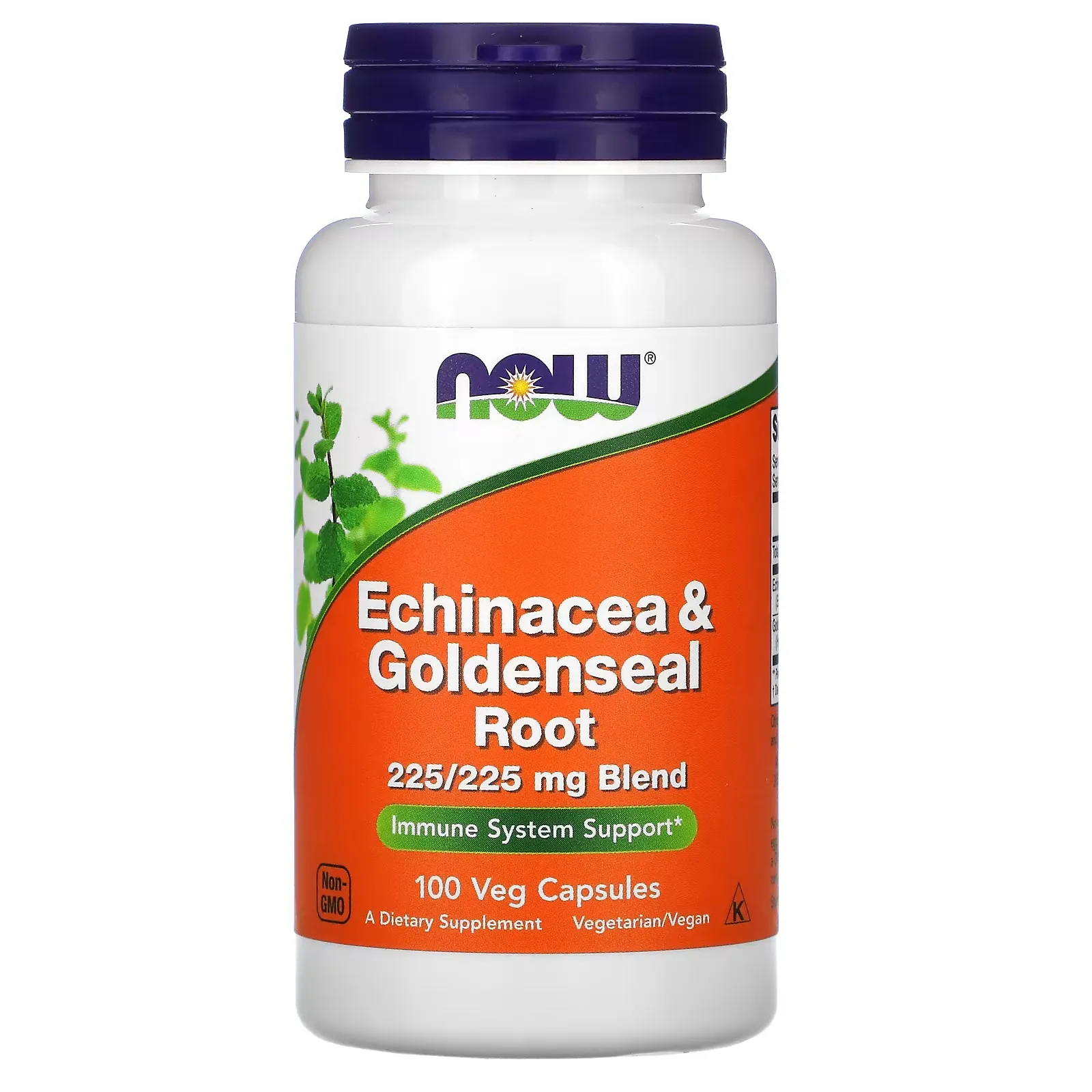 Echinacea & Goldenseal Root, 100 Veg Capsules