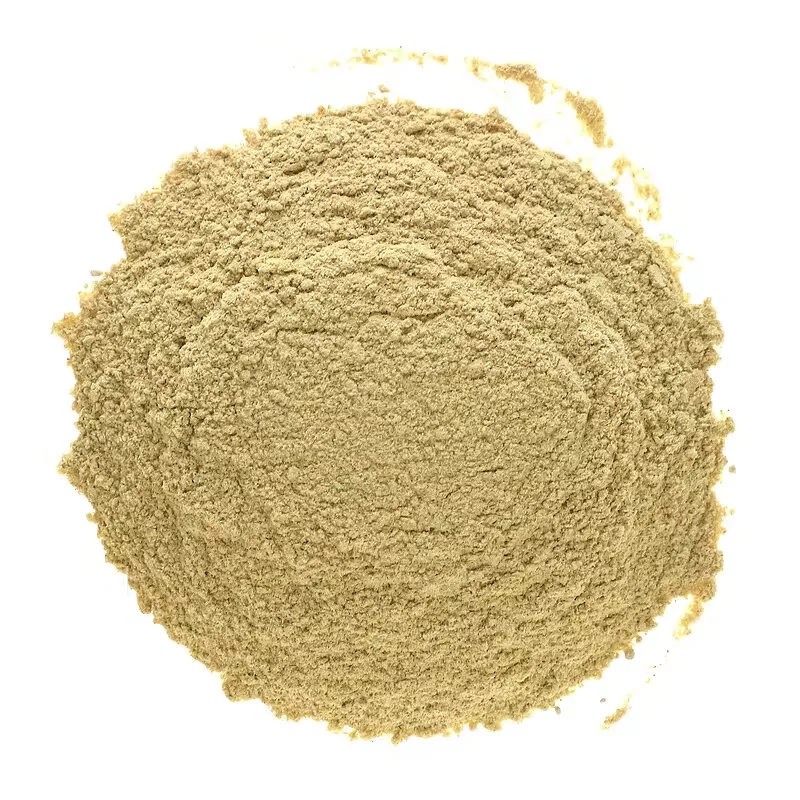 Astragalus Root Powder, 1 lb (453.6 g)