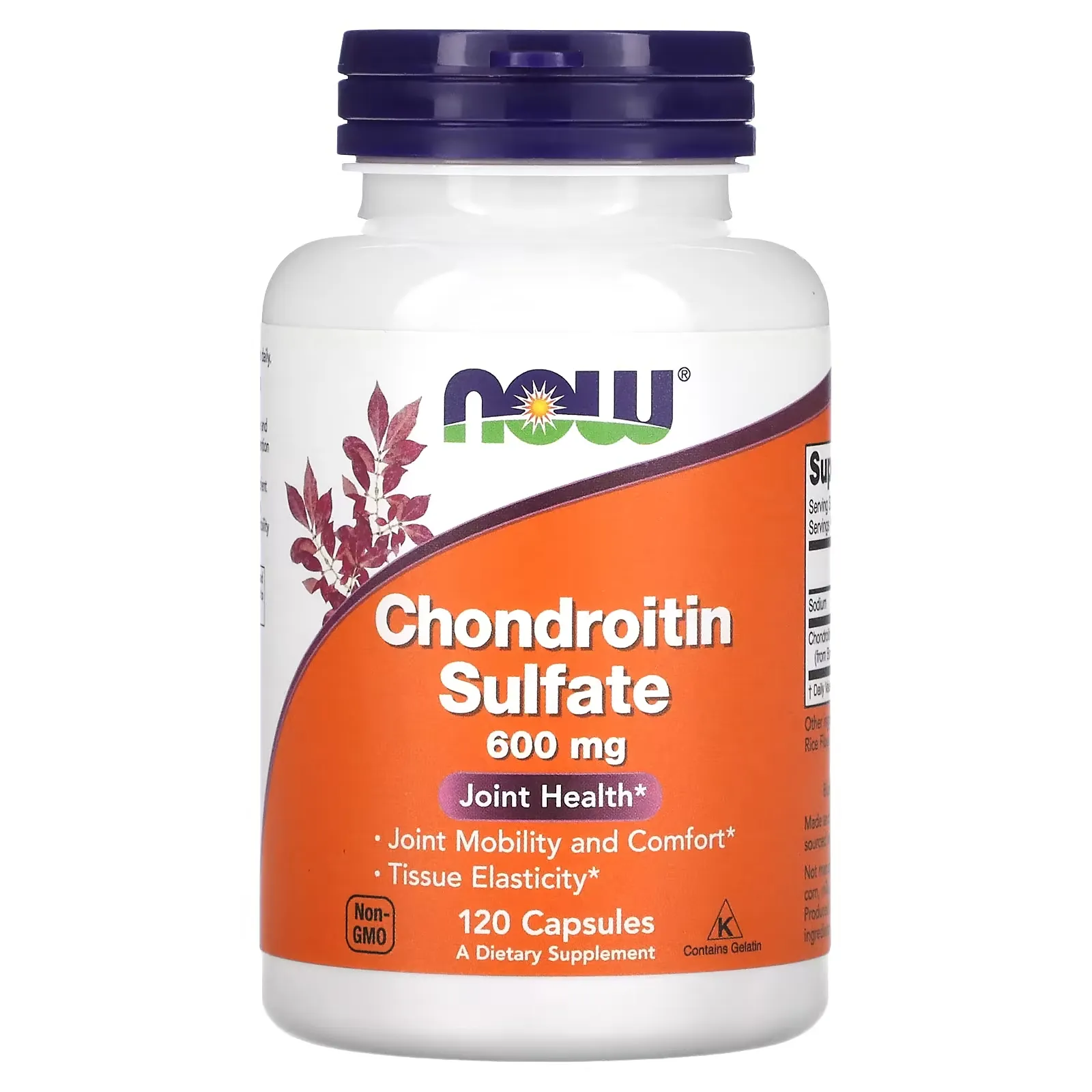 Chondroitin Sulfate, 600 mg, 120 Capsules