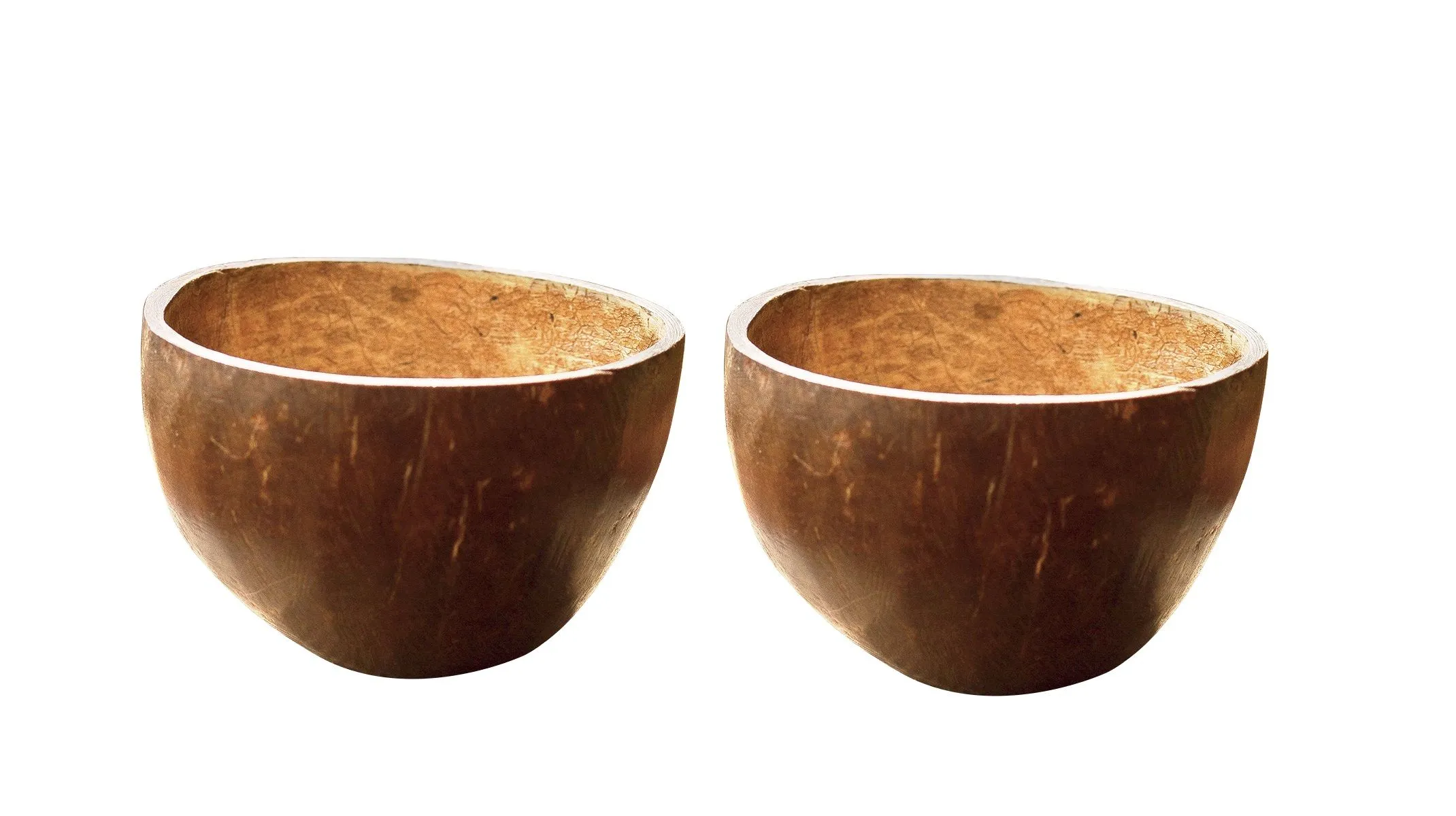 Amrutam Handmade Coconut Shell Bowl (Pack Of 2)