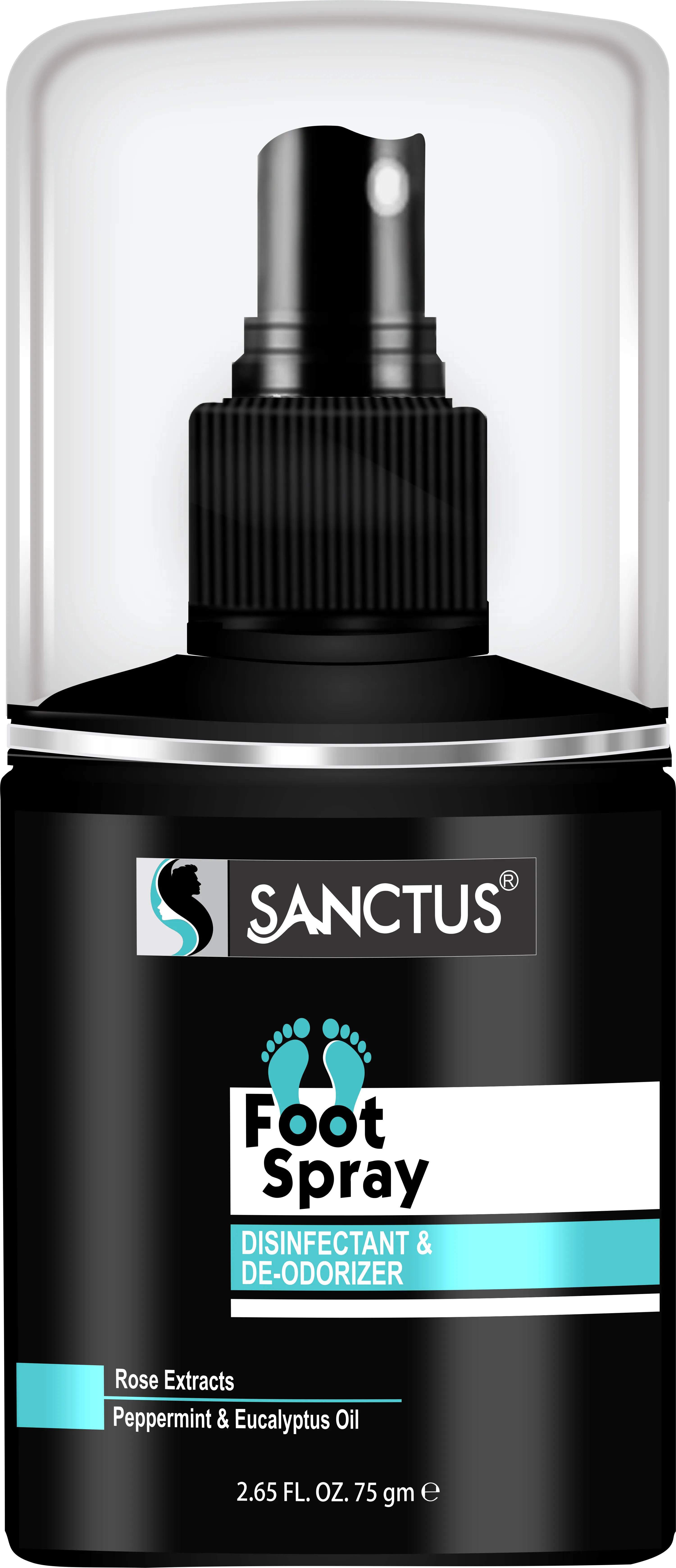 SANCTUS Disinfectant & Deodorizer Foot Spray