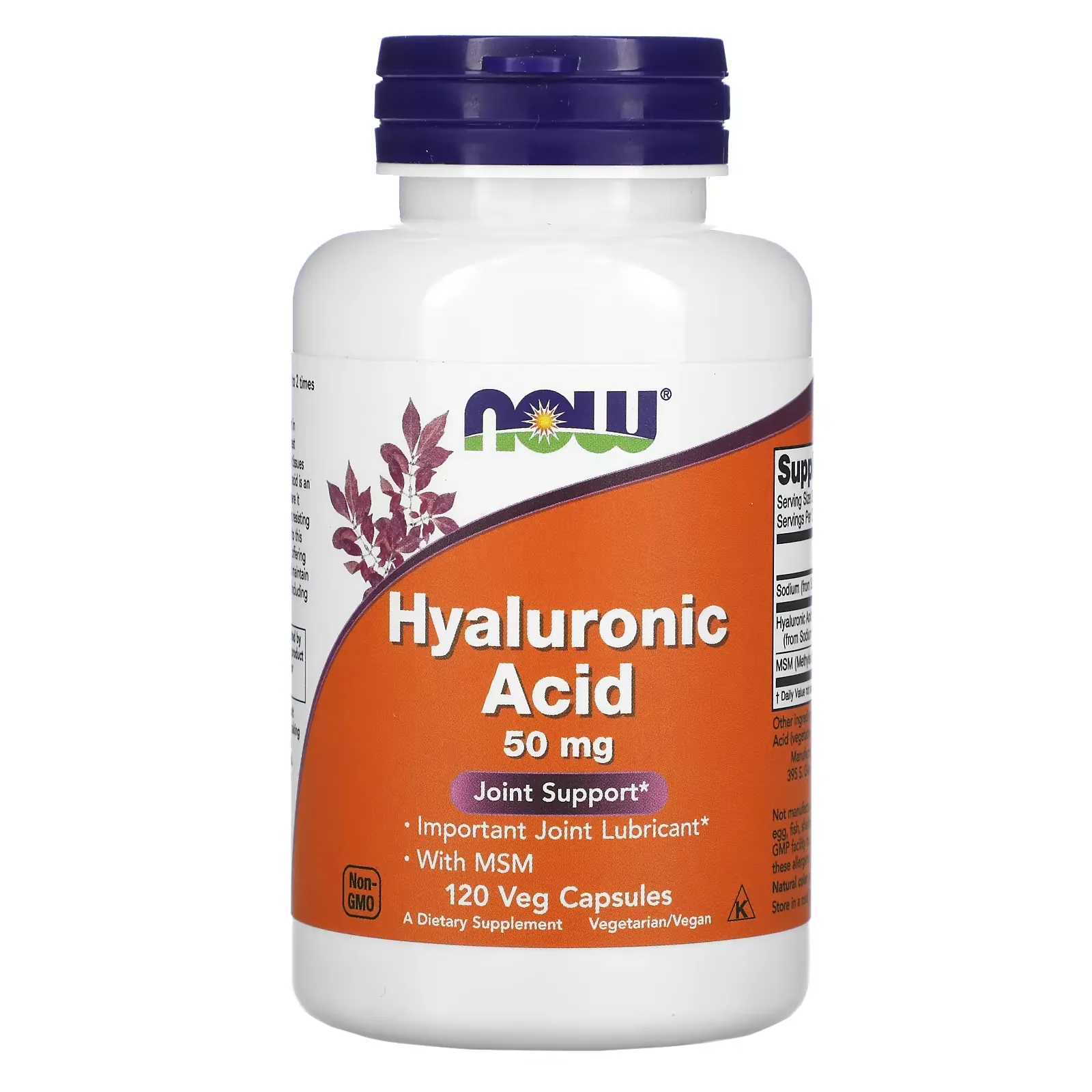 Hyaluronic Acid with MSM, 50 mg, 120 Veg Capsules