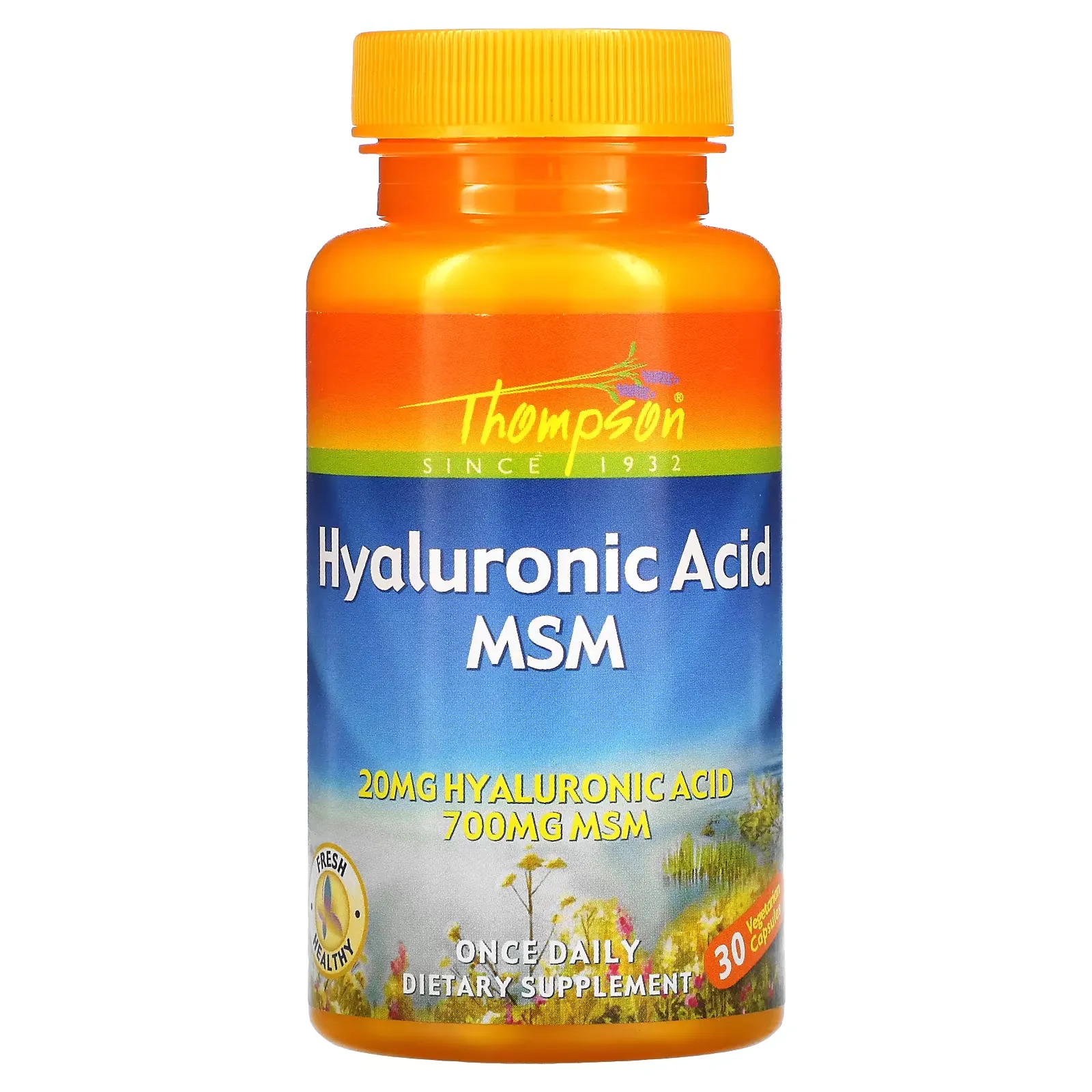 Hyaluronic Acid MSM, 30 Vegetarian Capsules