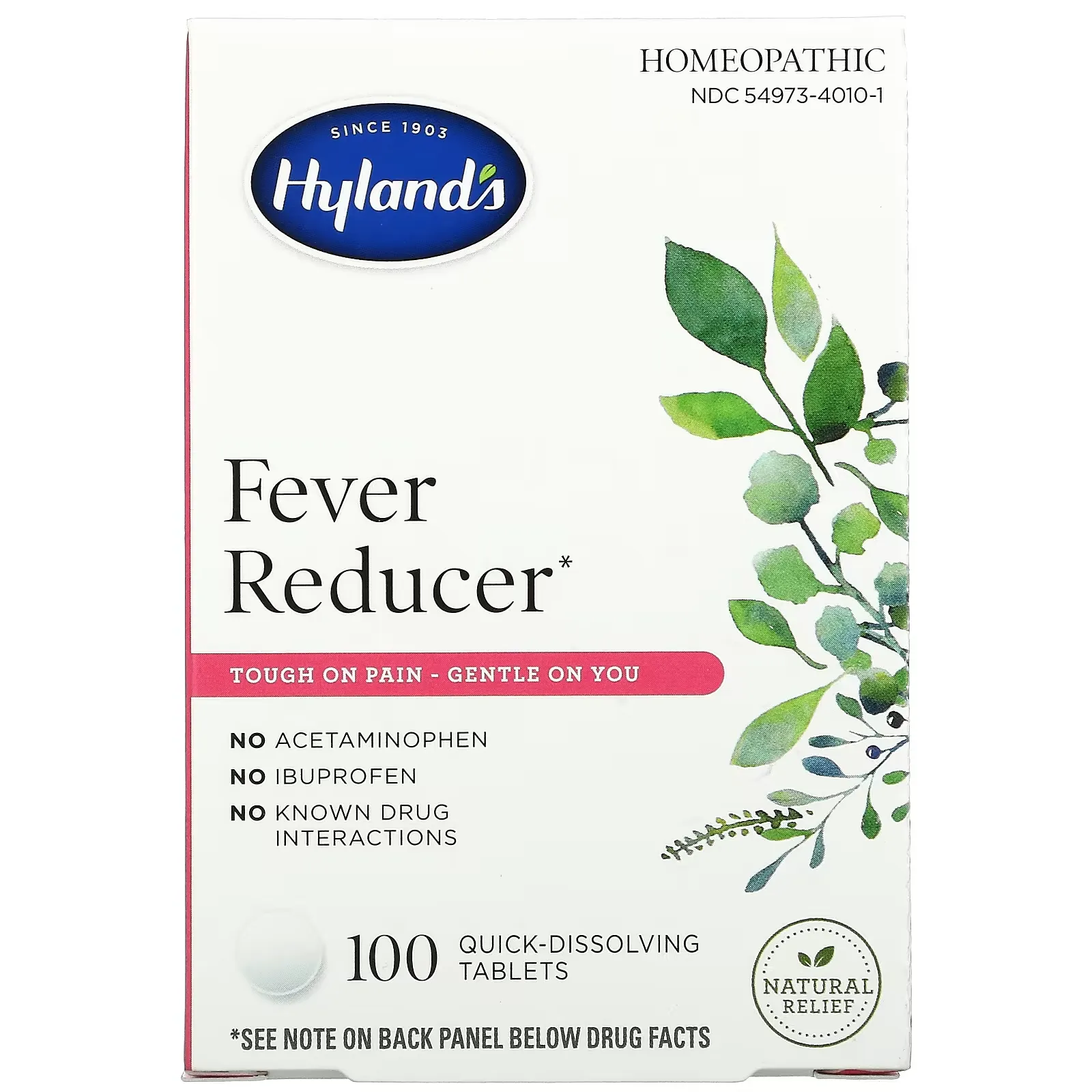 Fever Reducer, 100 Quick-Dissolving Tablets