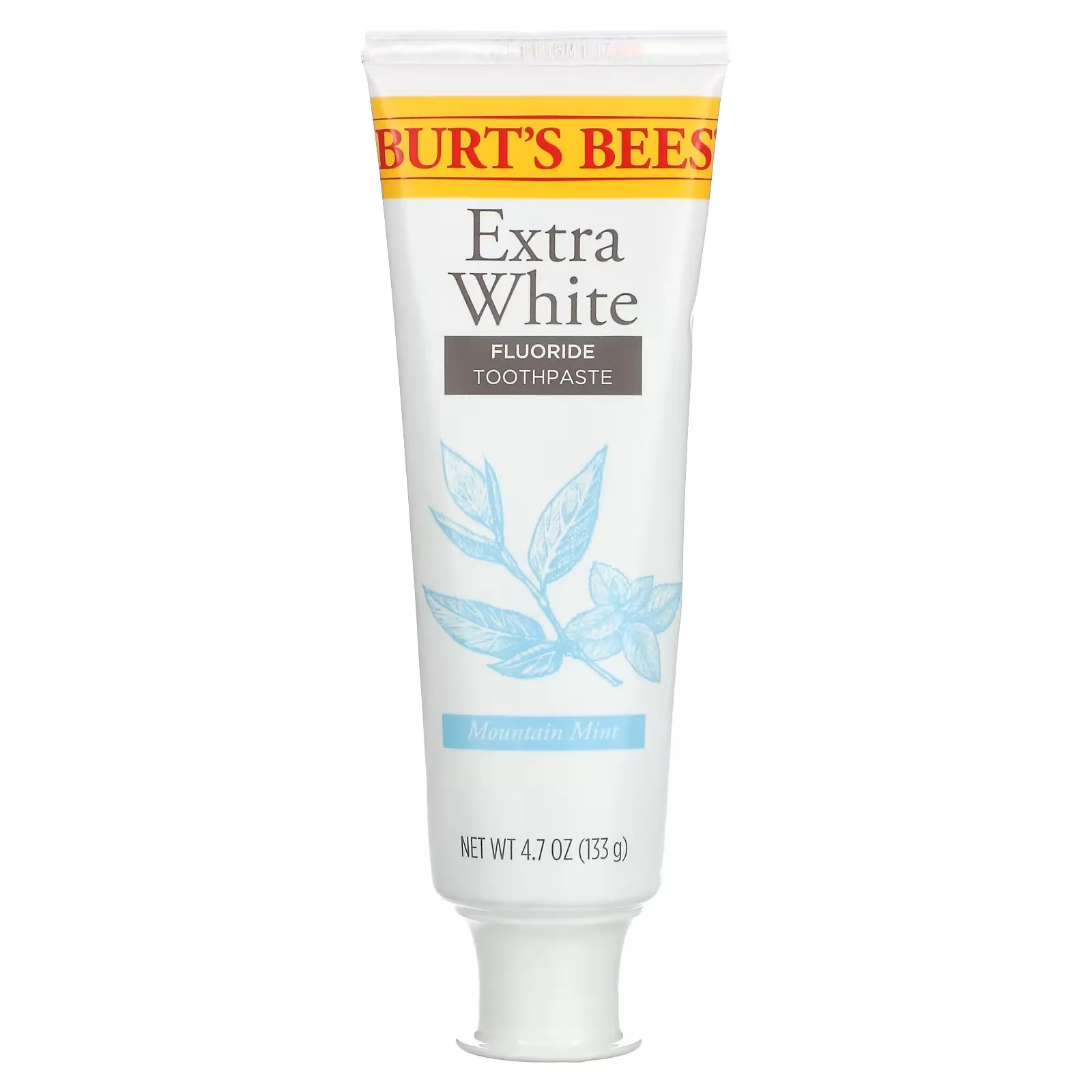 Fluoride Toothpaste, Extra White, Mountain Mint, 4.7 oz (133 g)