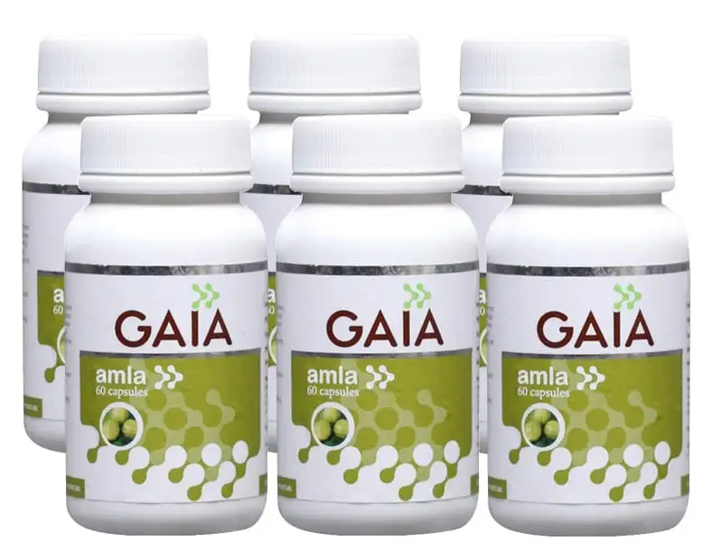 GAIA Amla (Pack of 6),  60 capsules