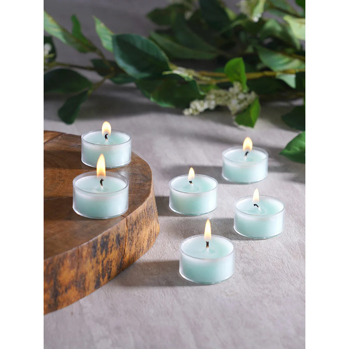 Pure Home + Living Summar Aqua Blue T-Light Candles (Pack of 24)