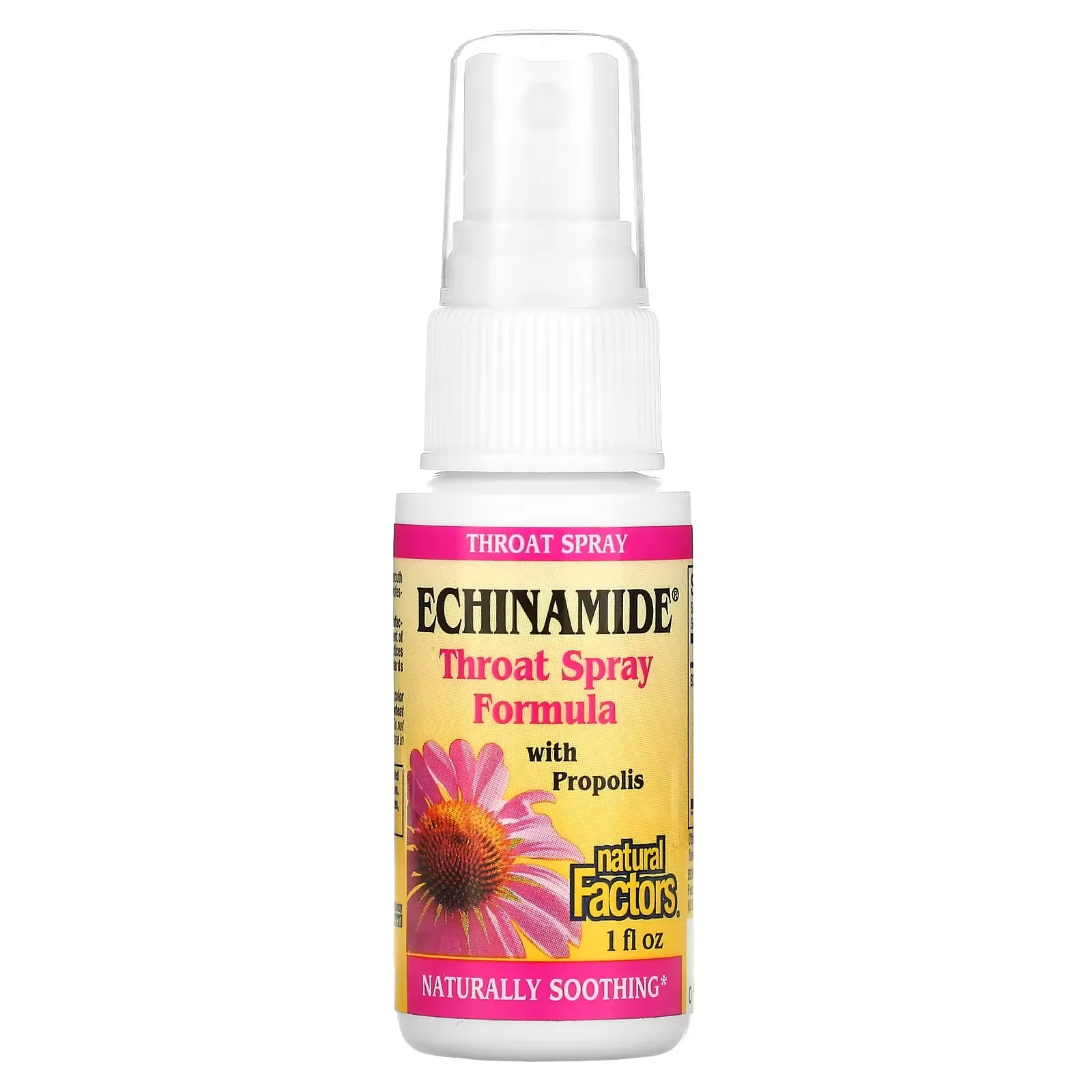 Echinamide, Throat Spray Formula with Propolis, 1 fl oz