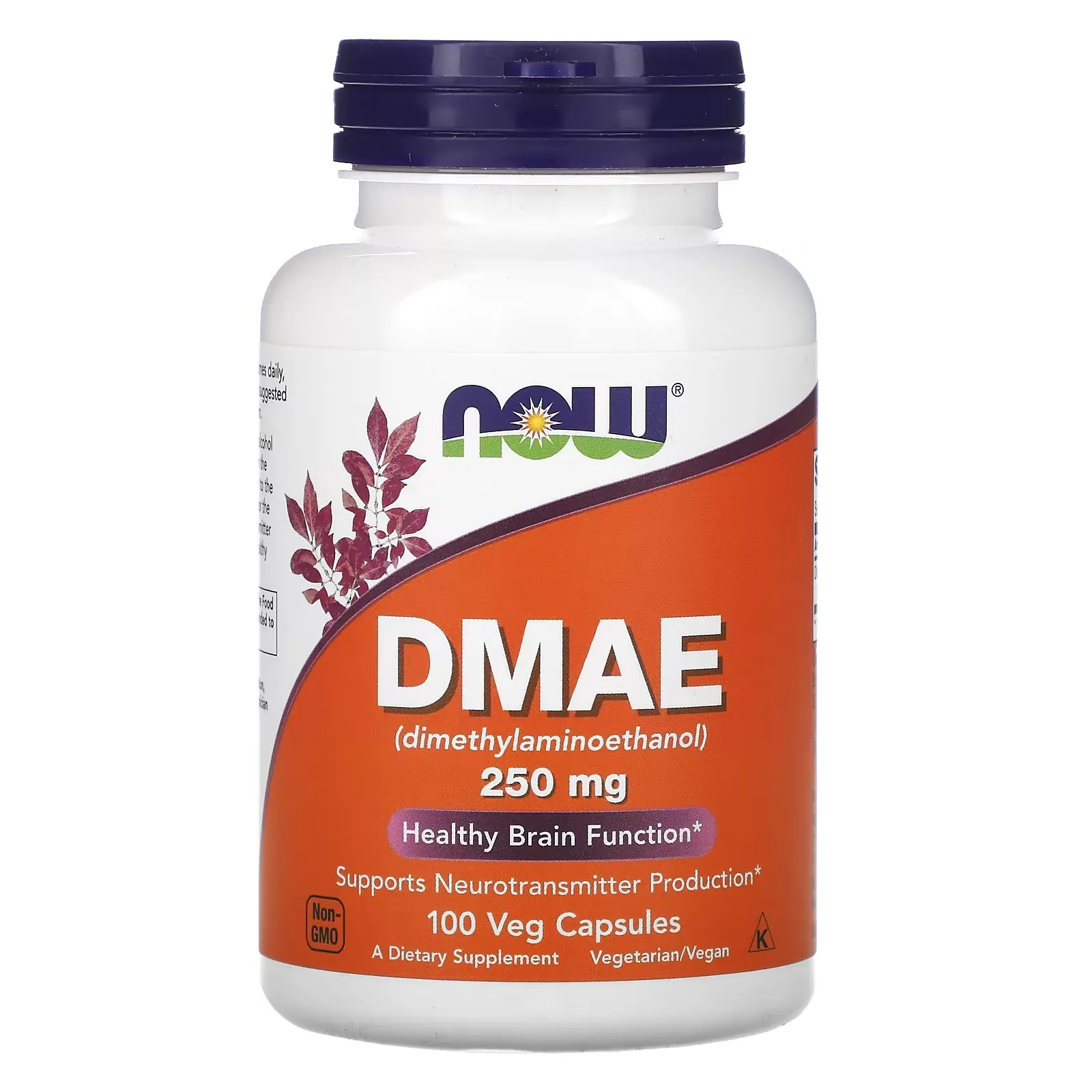 DMAE, 250 mg, 100 Veg Capsules