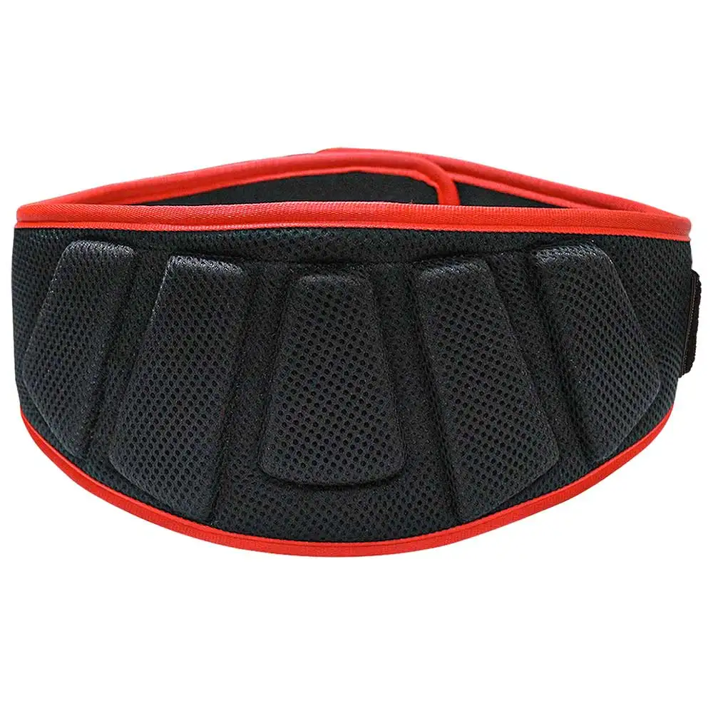 MuscleXP Gym Nylon Padded Weightlifting Belt,  Black  XL