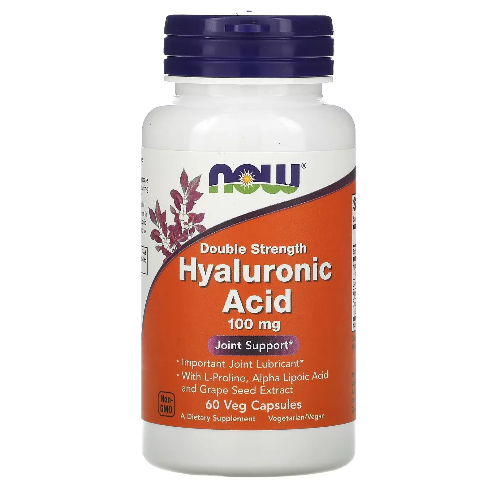 Hyaluronic Acid, Double Strength, 100 mg, 60 Veg Capsules