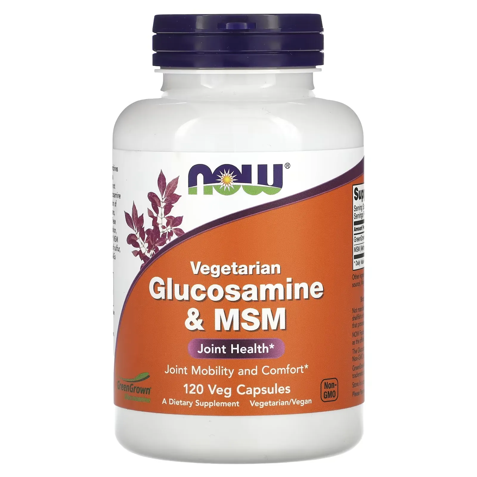 Vegetarian Glucosamine & MSM, 120 Veg Capsules