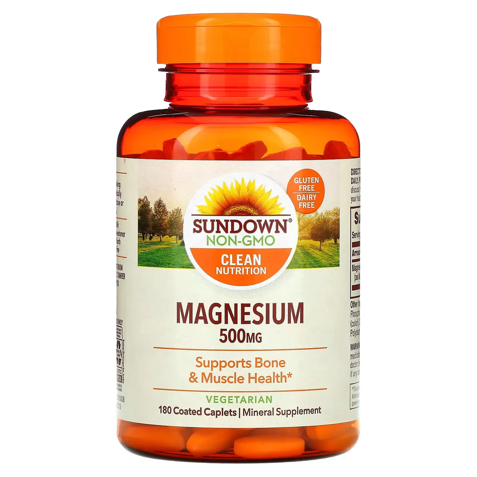 Magnesium, 500 mg, 180 Coated Caplets