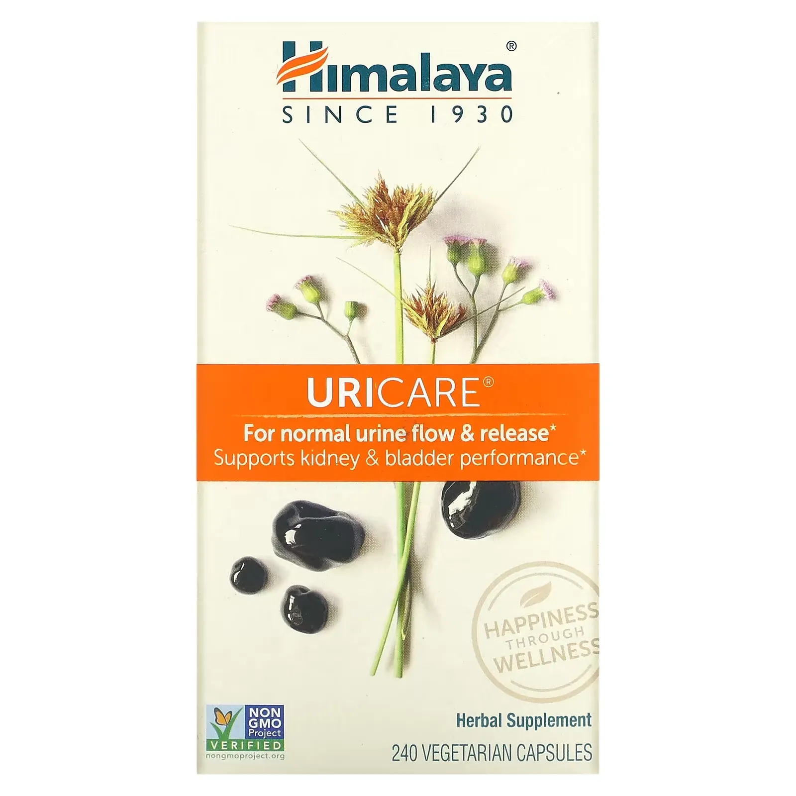 UriCare, 240 Vegetarian Capsules