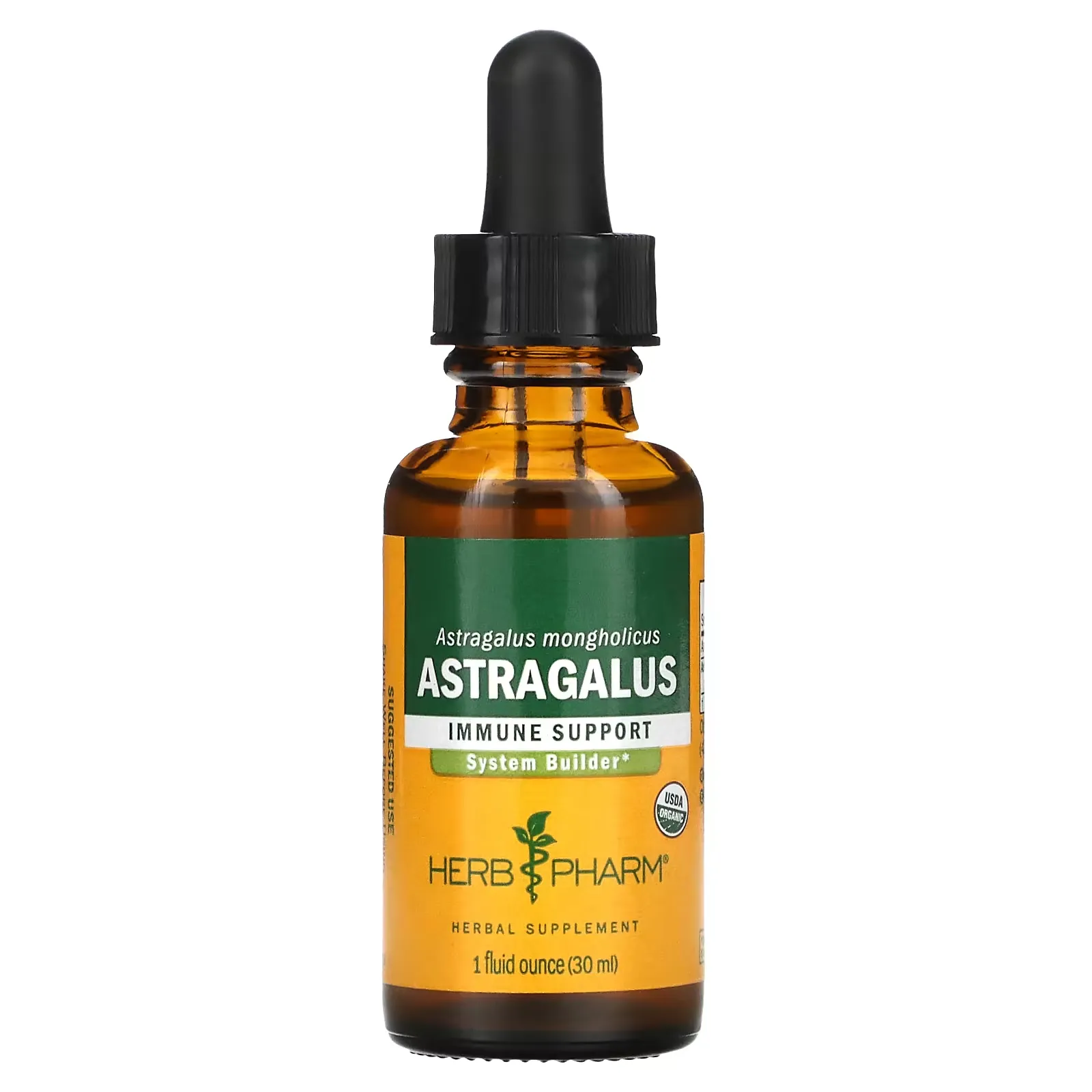 Astragalus, 1 fl oz (30 ml)