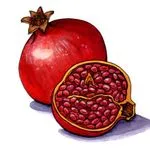 Pomegranate