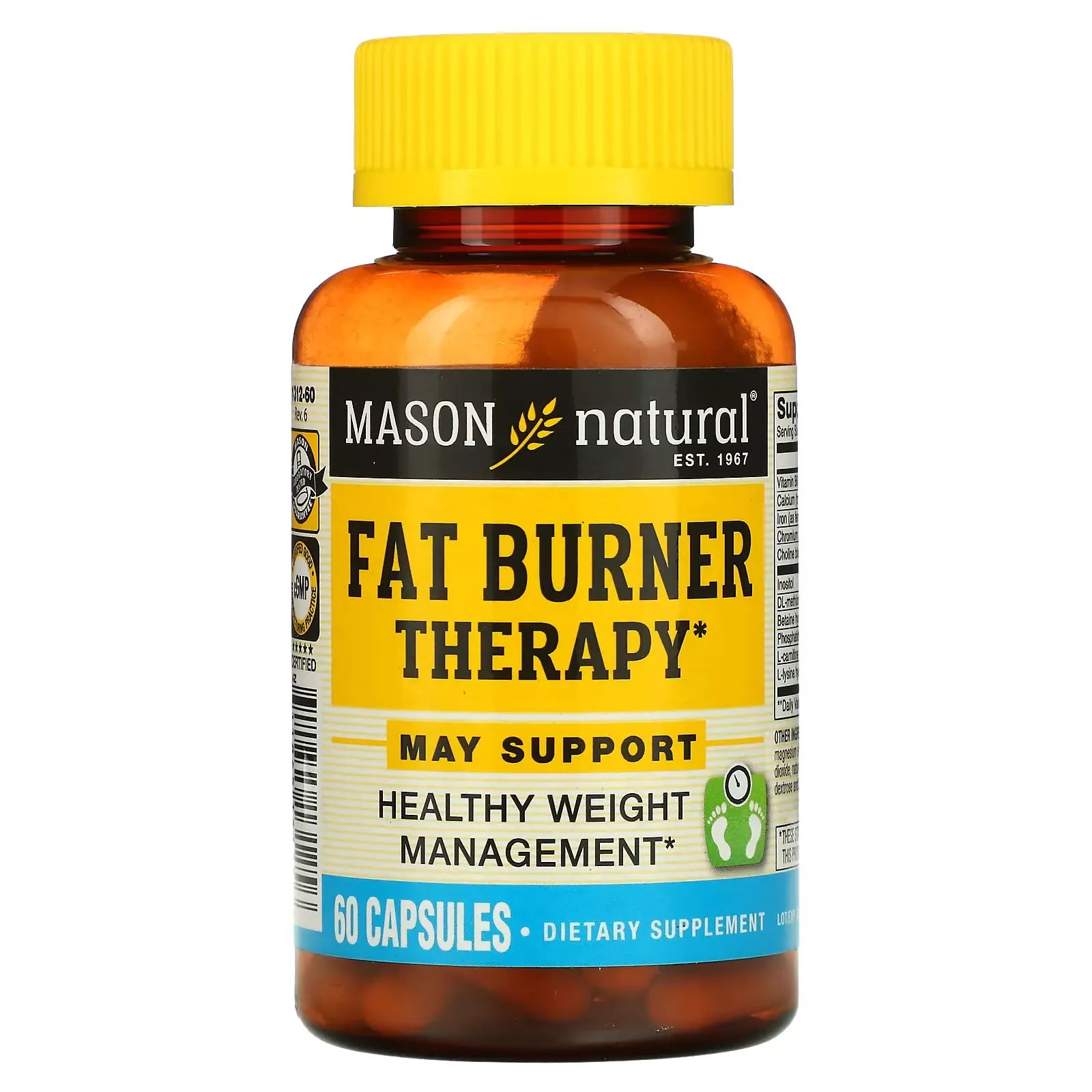 Fat Burner Therapy, 60 Capsules