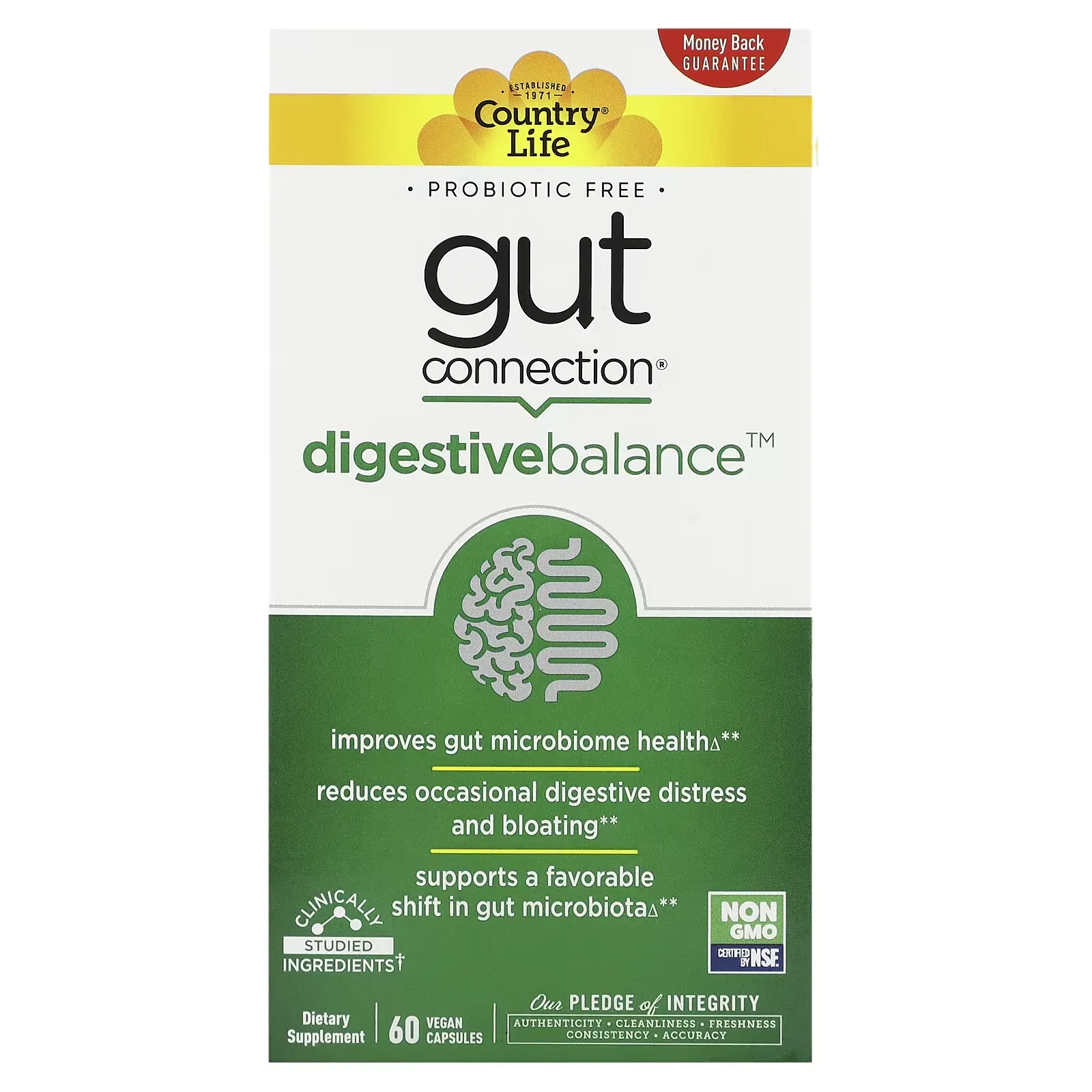 Digestive Enzymes