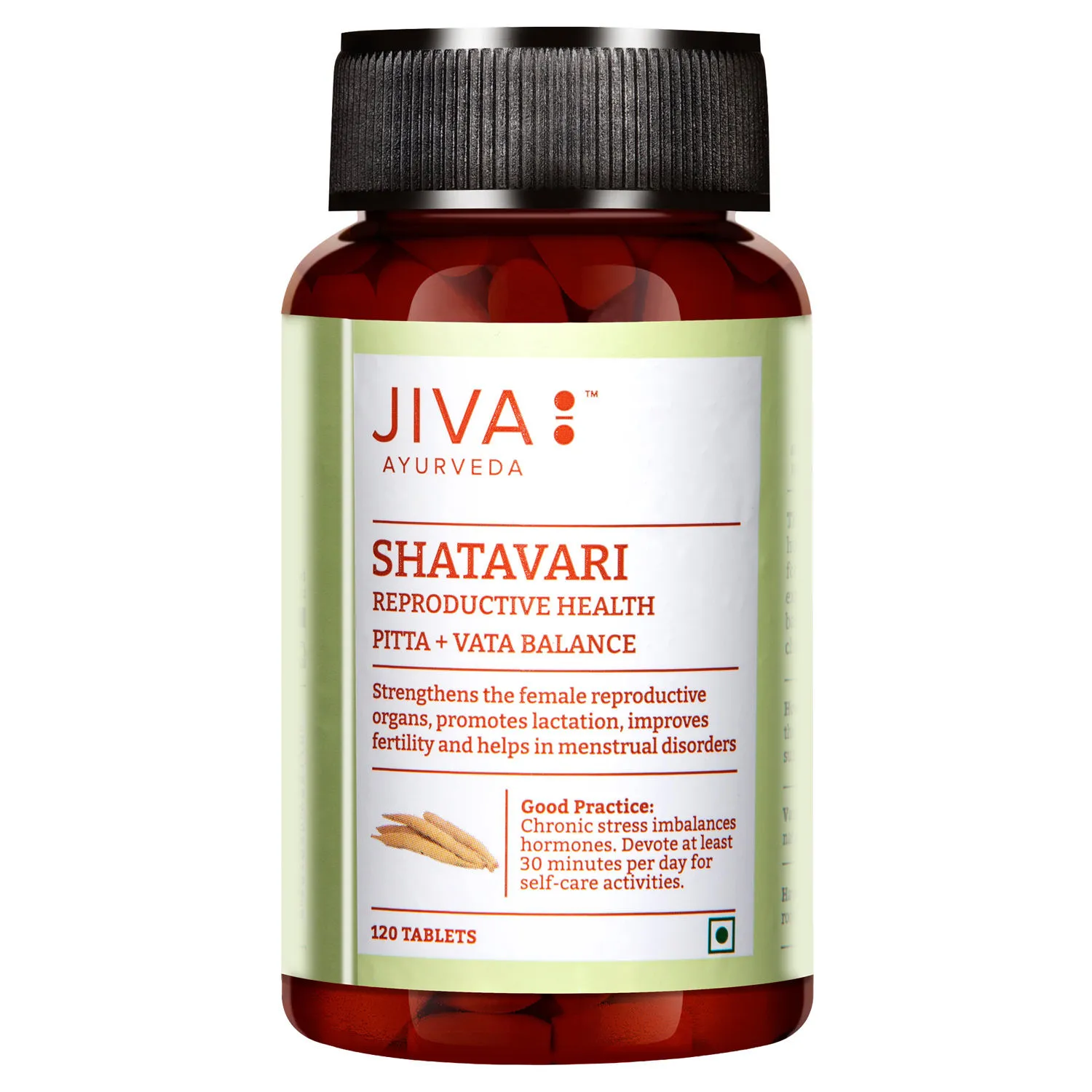 Jiva Ayurveda Shatavari Tablet