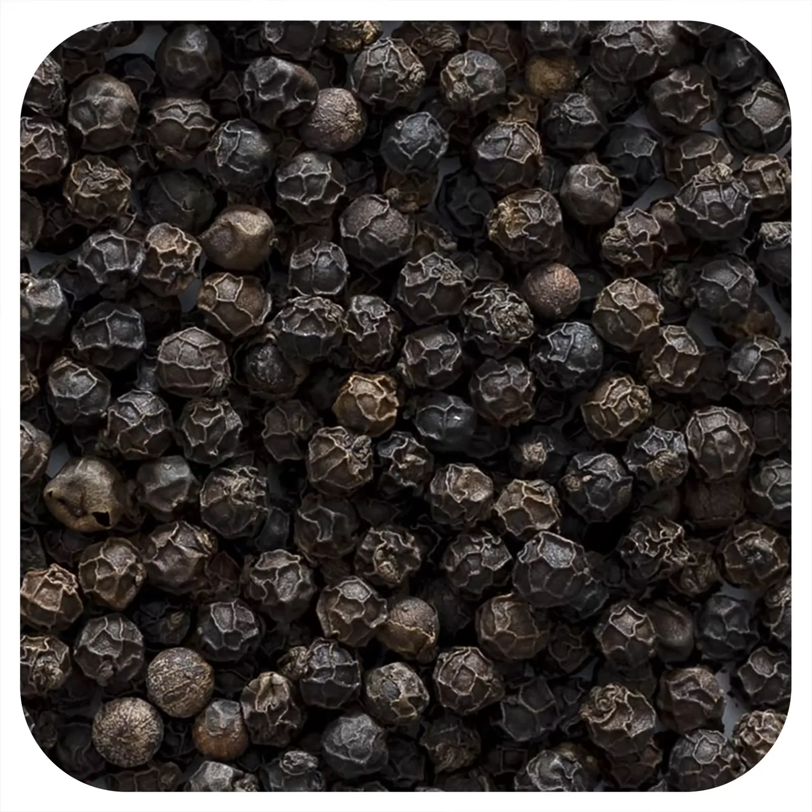 Organic Whole Black Peppercorns Tellicherry, 16 oz (453 g)