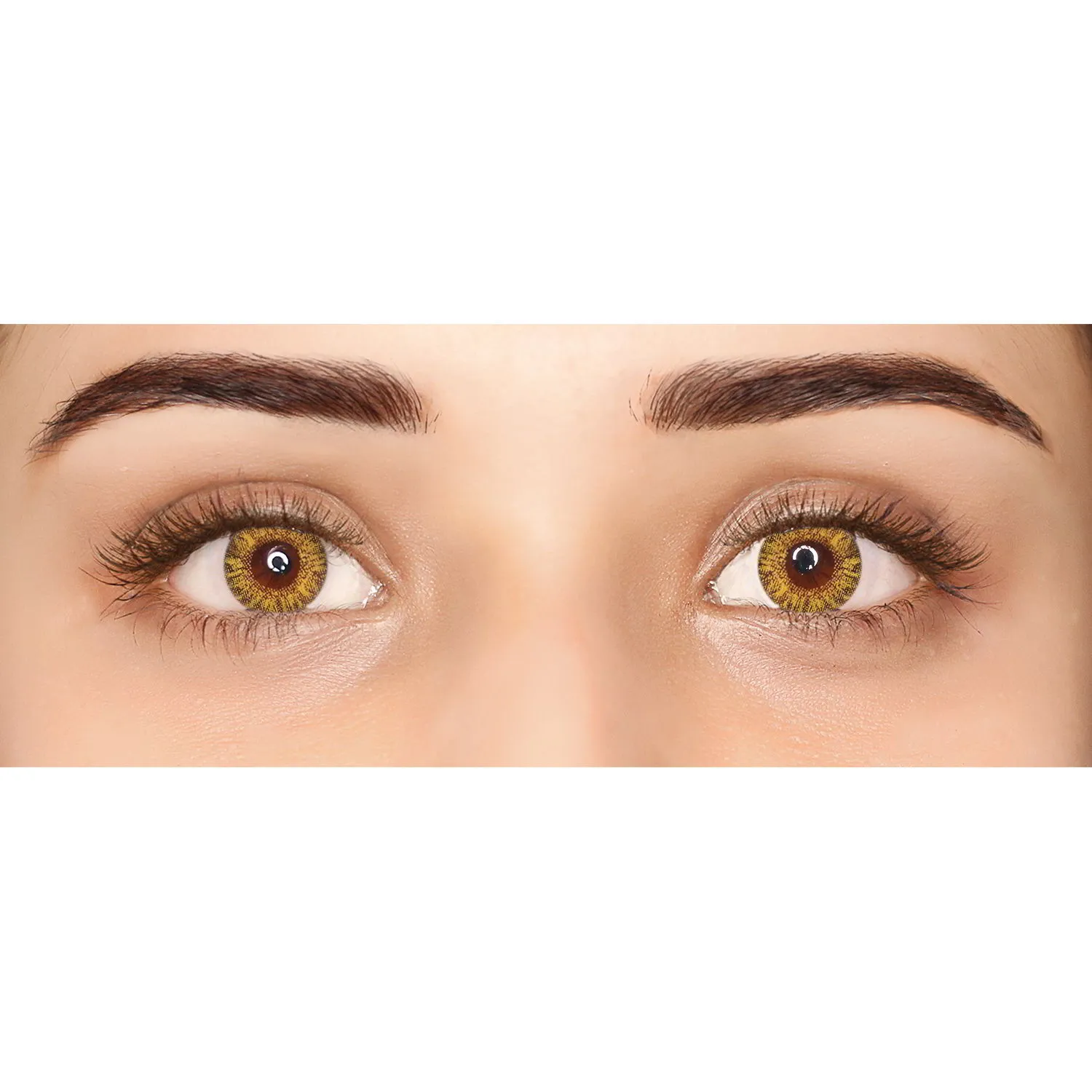 PAC IRIS Contact Lenses - 02 Pure Hazel