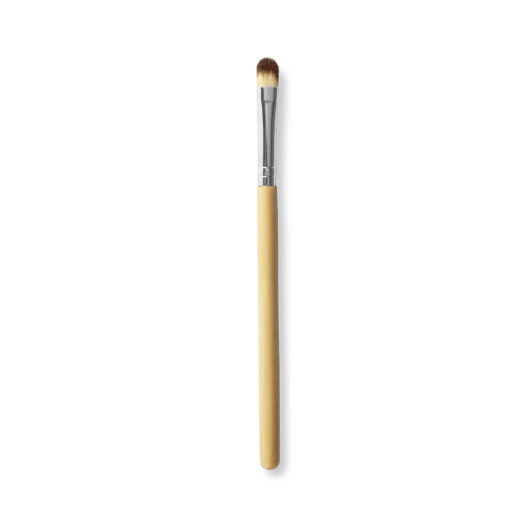 TS Face Pack Brush