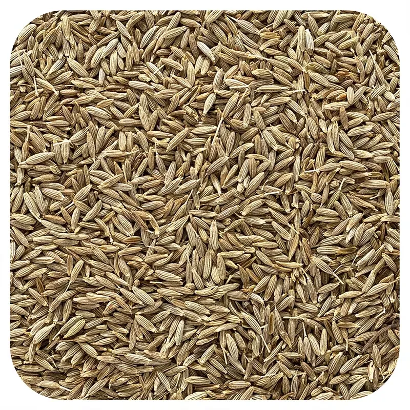 Whole Cumin Seed, 16 oz (453 g)