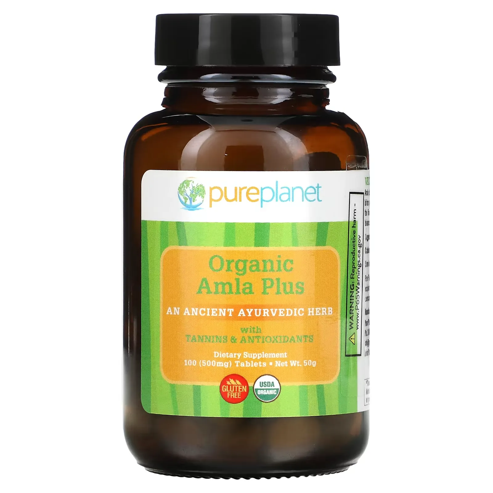 Organic Amla Plus, 500 mg, 100 Tablets