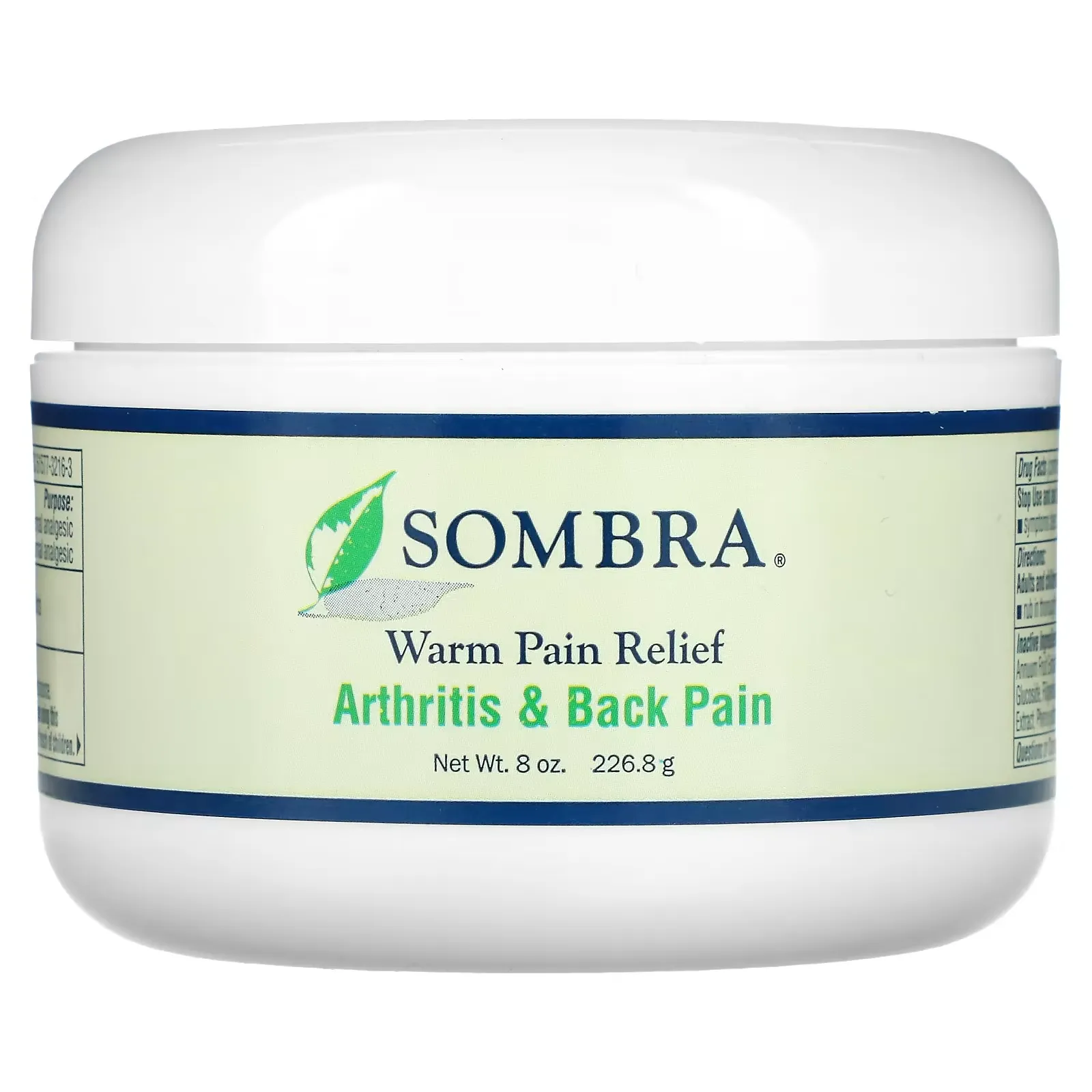 Warm Pain Relief, Arthritis & Back Pain, 8 oz (226.8 g)