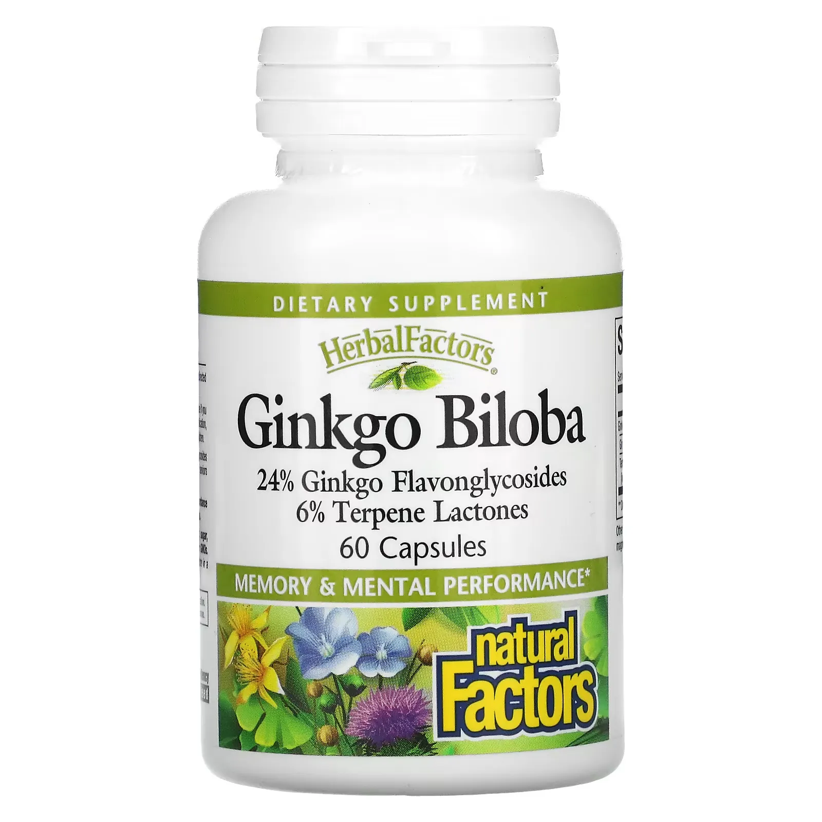 Ginkgo Biloba, 60 Capsules