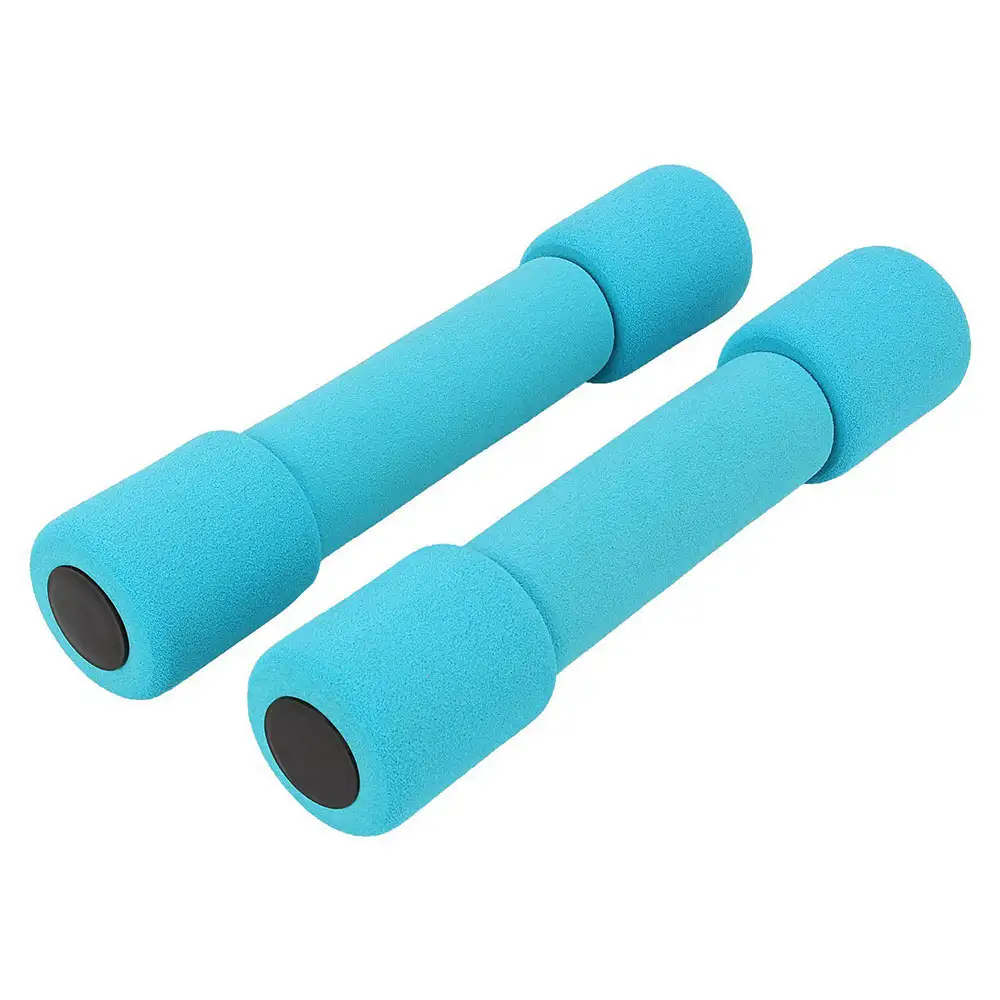 Fitsy Dumbbells 2502 (AR913),  Blue (Pair)  0.5 kg