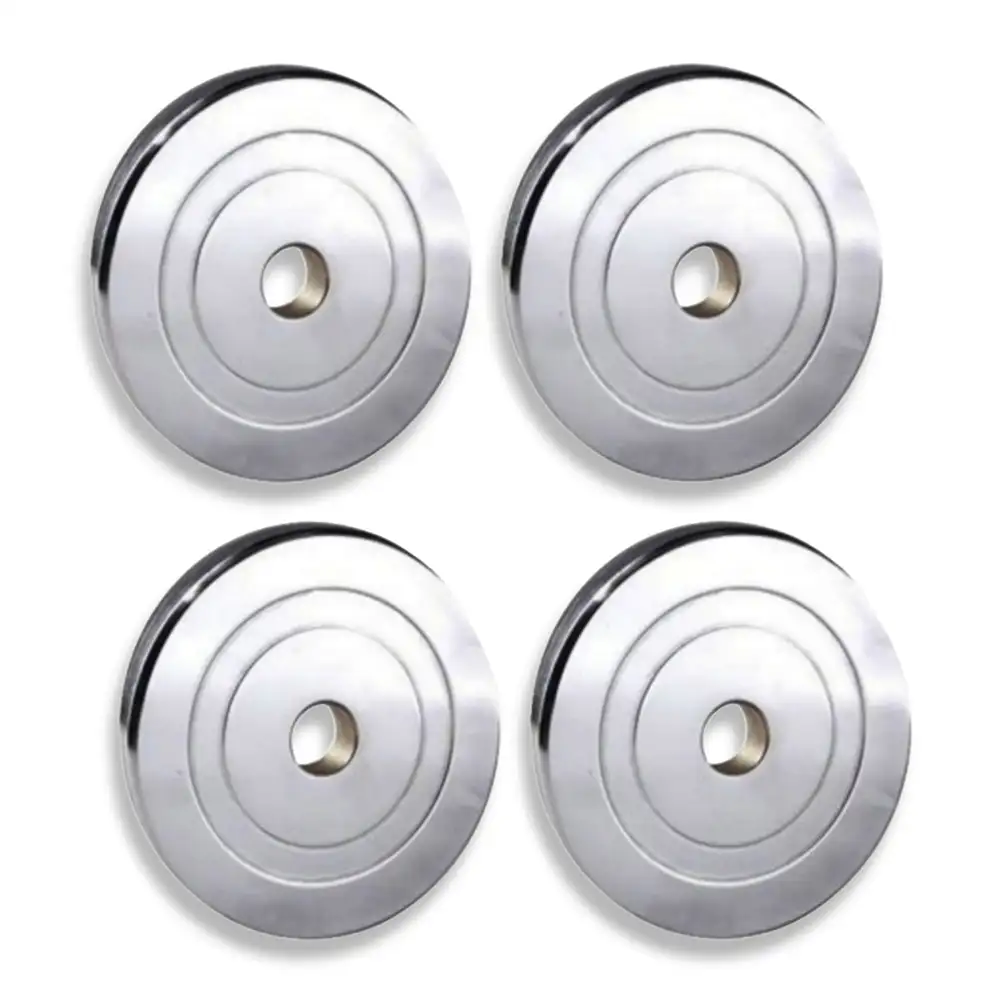 BULLAR Steel Spare Weight Plates Set for Home Gym,  Silver (2 Pair)  10 kg