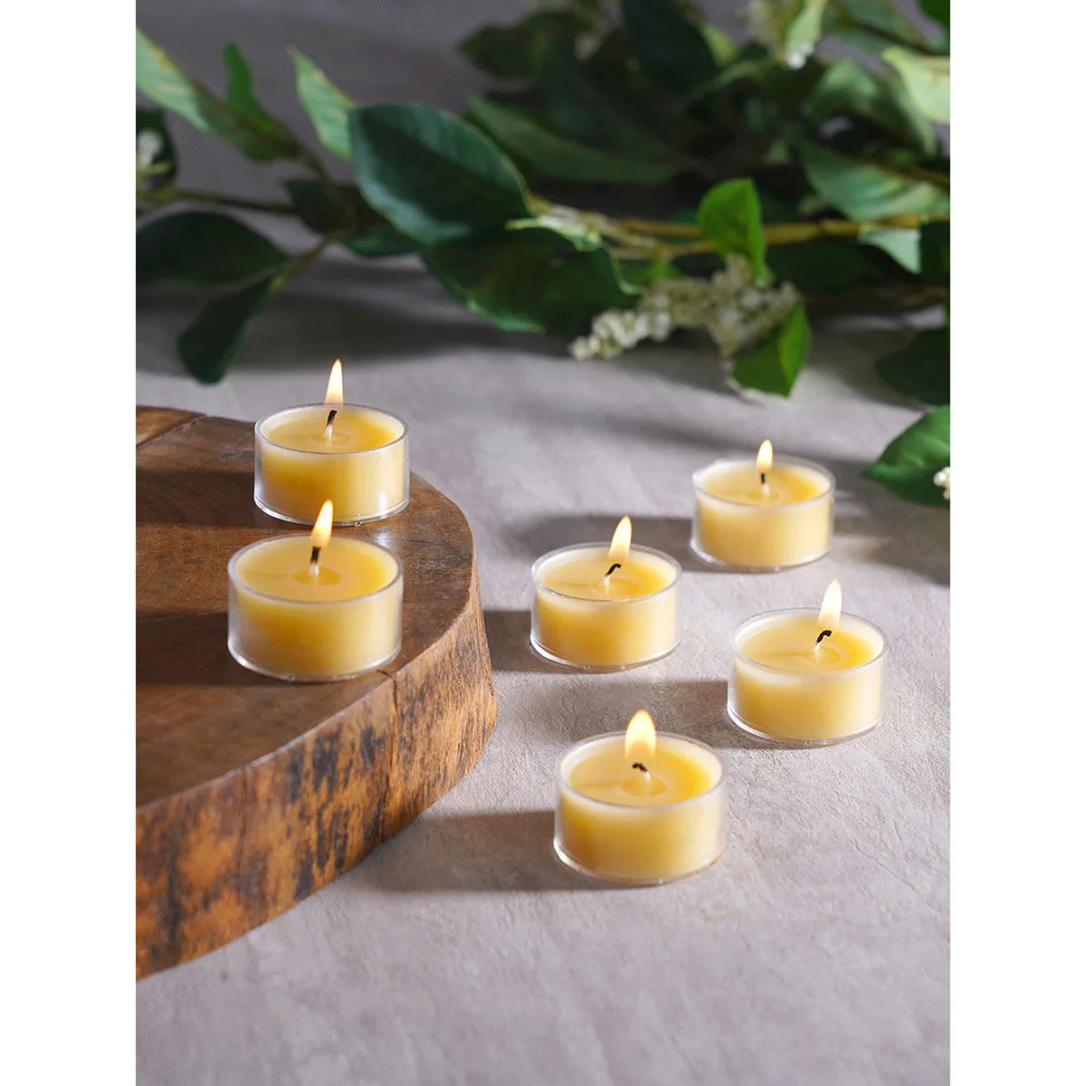 Pure Home + Living Summar Sand Shell T-Light Candles (Pack of 24)