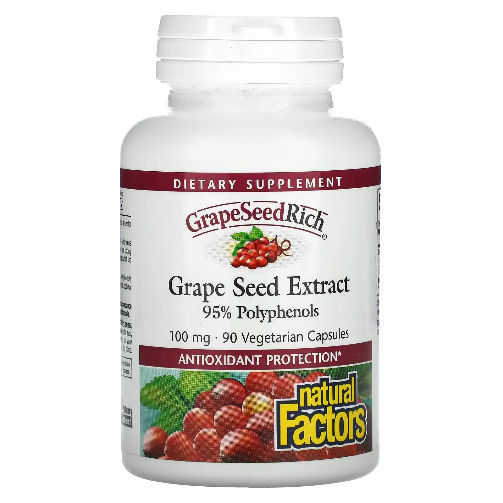 GrapeSeedRich, Grape Seed Extract, 100 mg, 90 Vegetarian Capsules