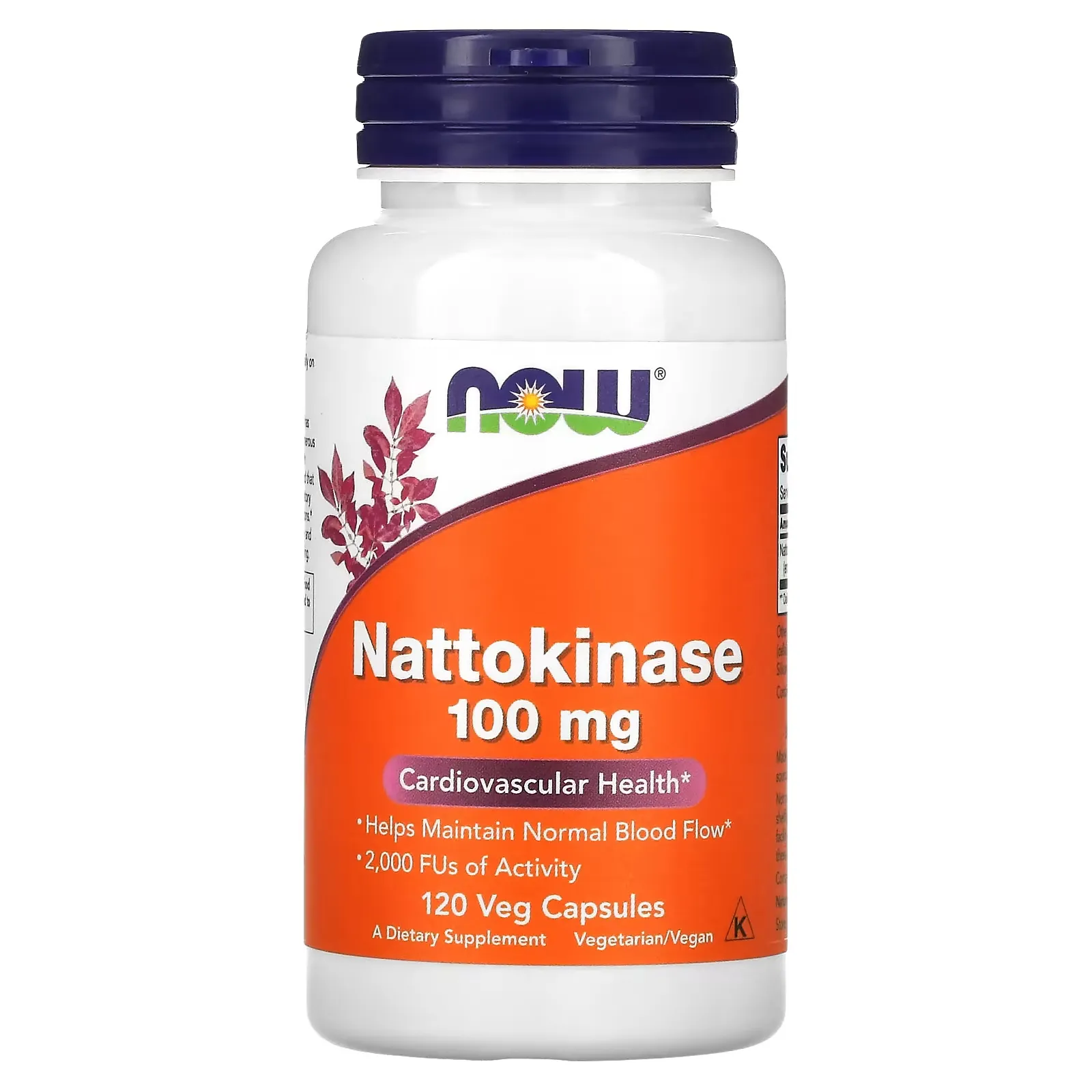 Nattokinase, 100 mg, 120 Veg Capsules