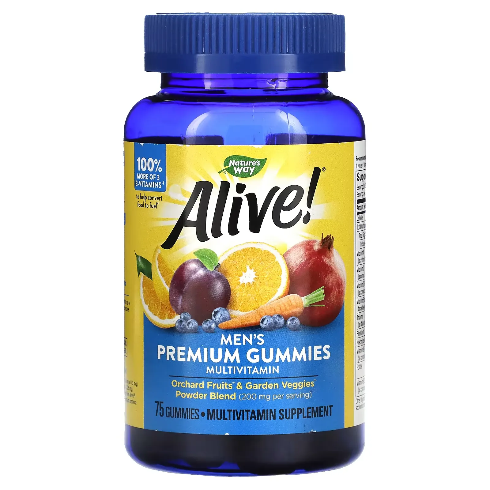 Alive! Men's Premium Gummies Multivitamin, Orange, Grape & Cherry, 75 Gummies