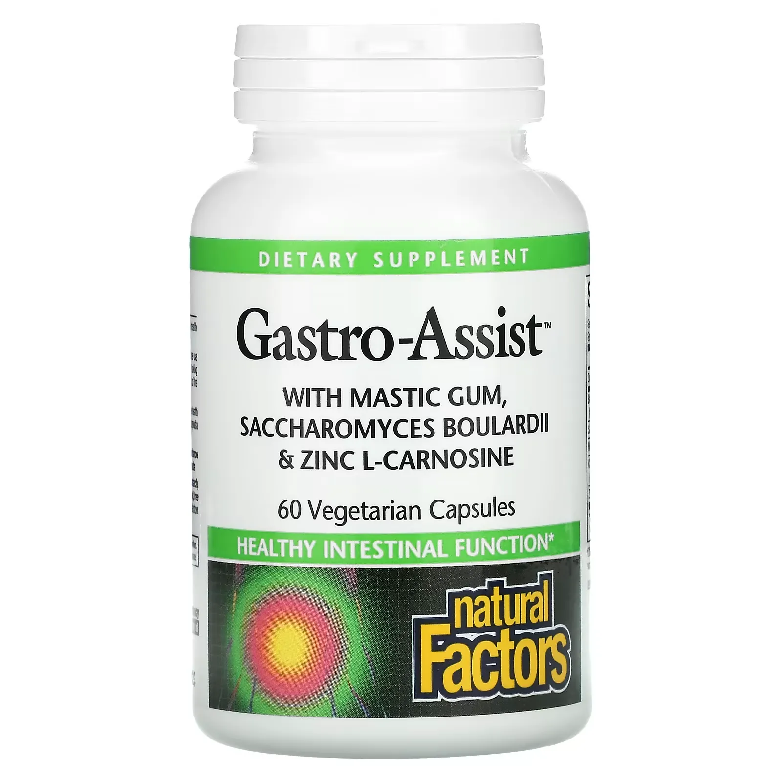 Gastro-Assist with Mastic Gum, Saccharomyces Boulardii & Zinc L-Carnosine, 60 Vegetarian Capsules