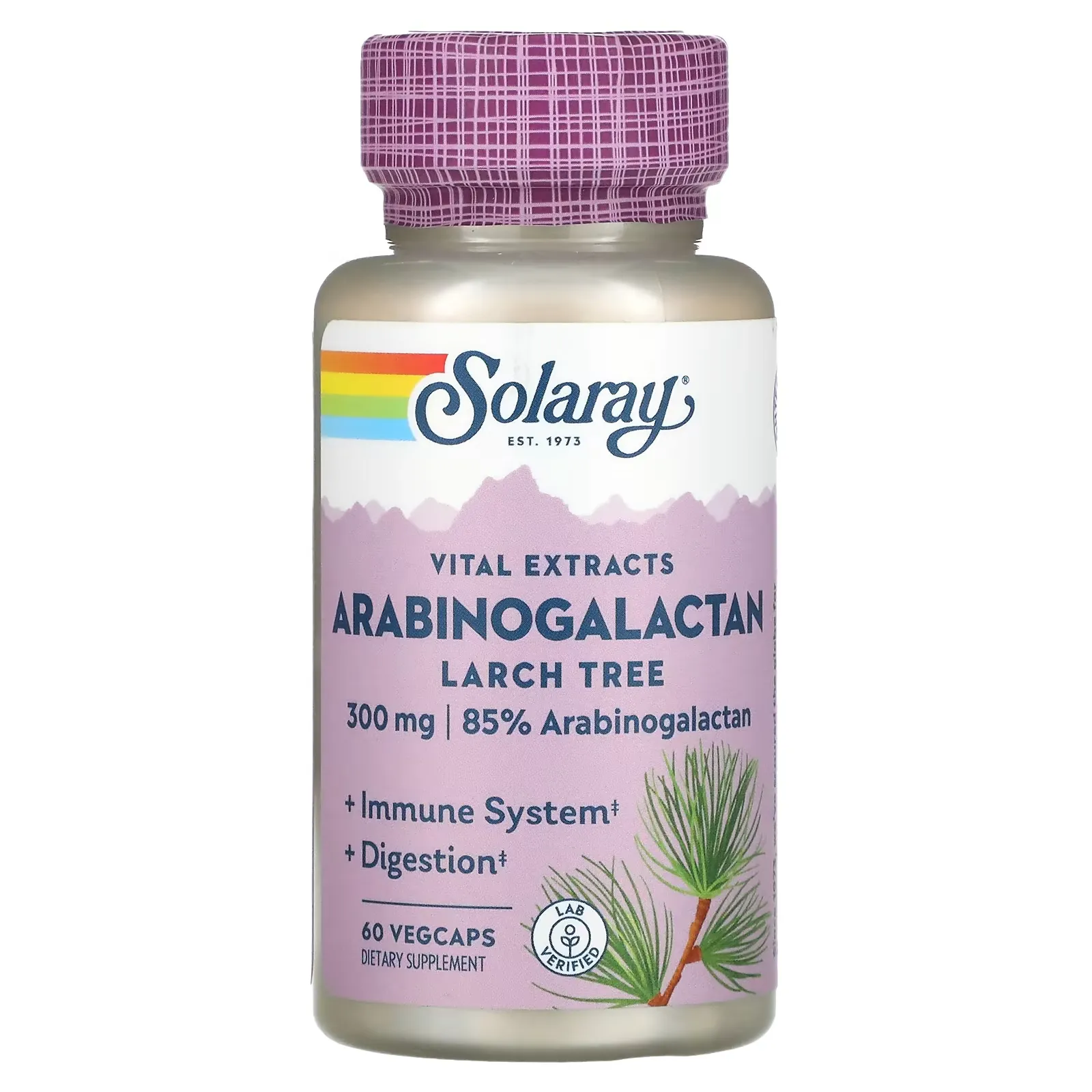 Arabinogalactan, Larch Tree, 300 mg, 60 Vegcaps