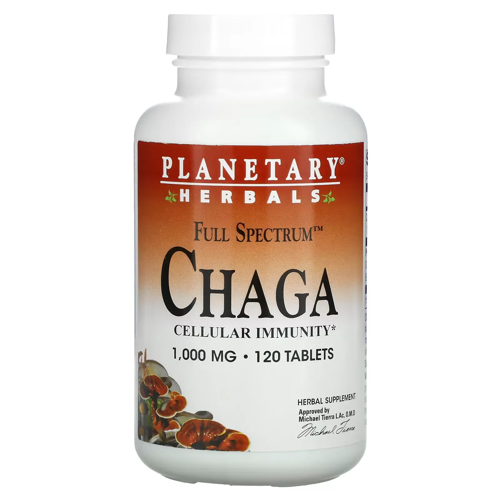 Full Spectrum Chaga, 1,000 mg, 120 Tablets